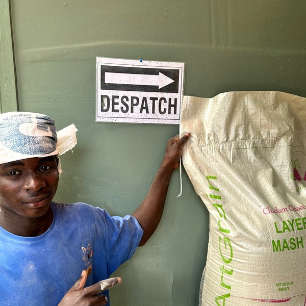 Despatch